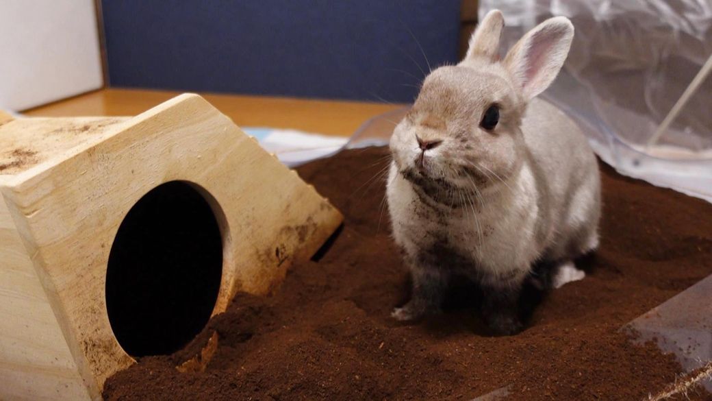 （写真提供：やすさん）