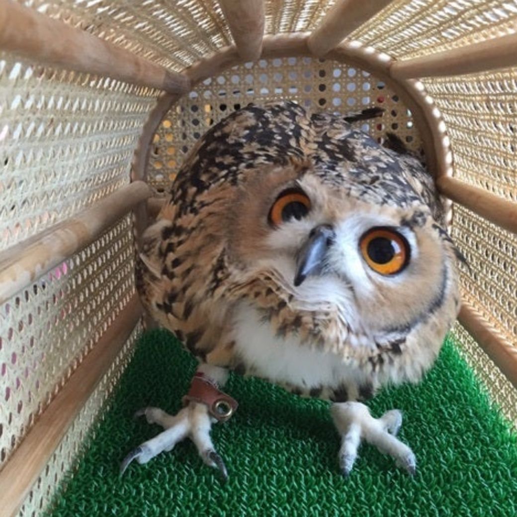 （写真提供：ゲンさん）