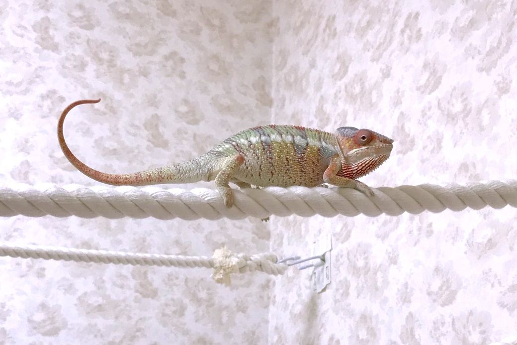 （写真提供：山村さん）