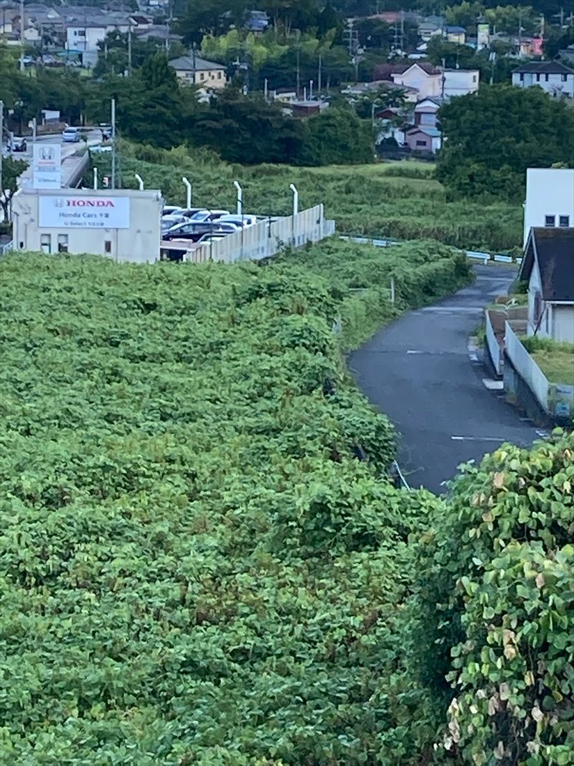 各地にある千原線の延伸用地（筆者撮影）