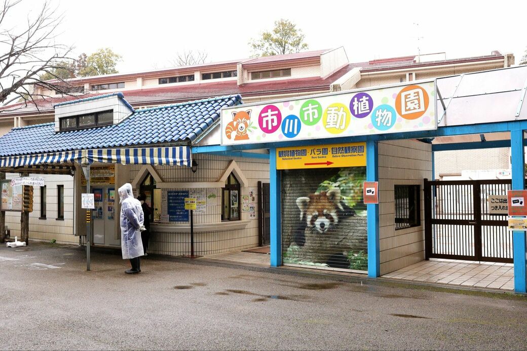 市川市動植物園　パンチくん