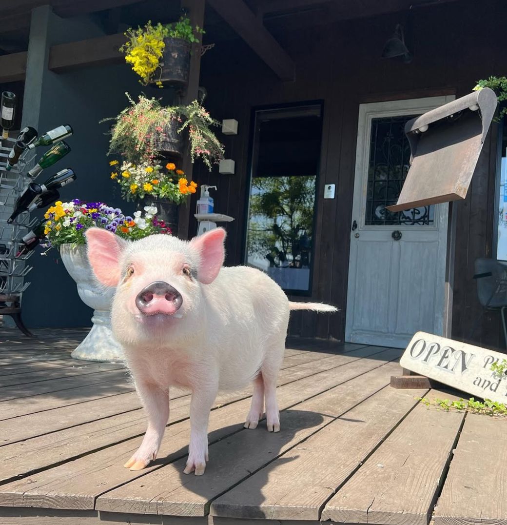 ブタOKのカフェの前で記念撮影（写真提供：しおりさん）
