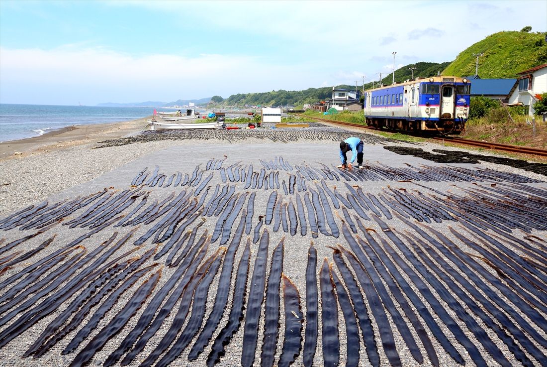 昆布干しのかたわらを走り抜ける日高本線の列車＝2013年（撮影：南正時）