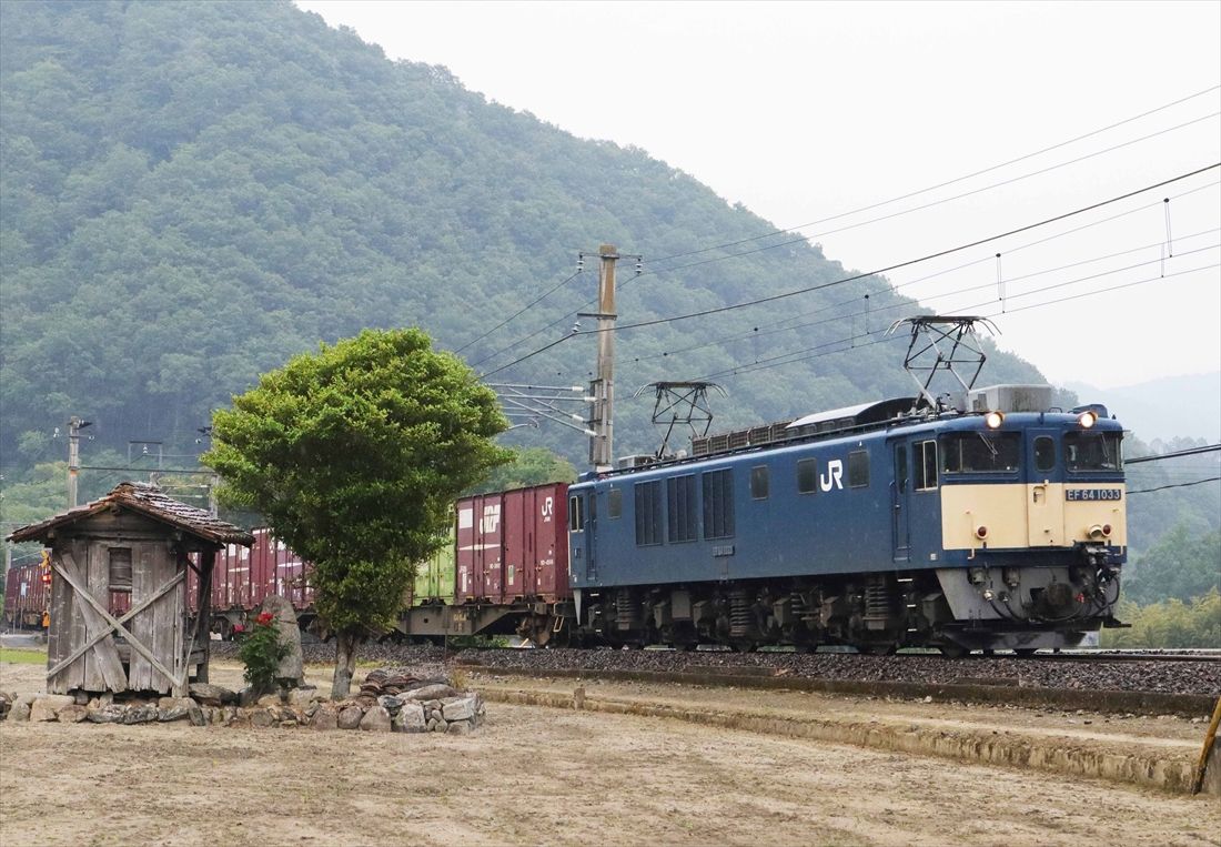 伯備線を行くEF64形1033号機牽引の貨物列車＝2025年6月（撮影：南正時）