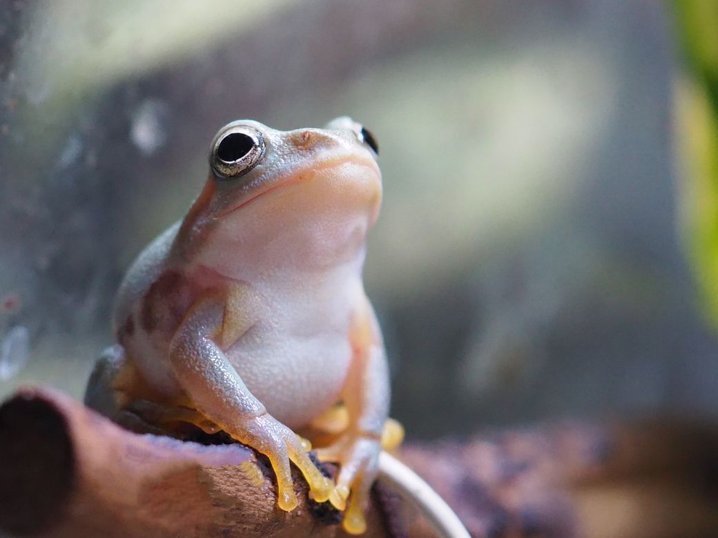 （写真提供：ぴよさん）