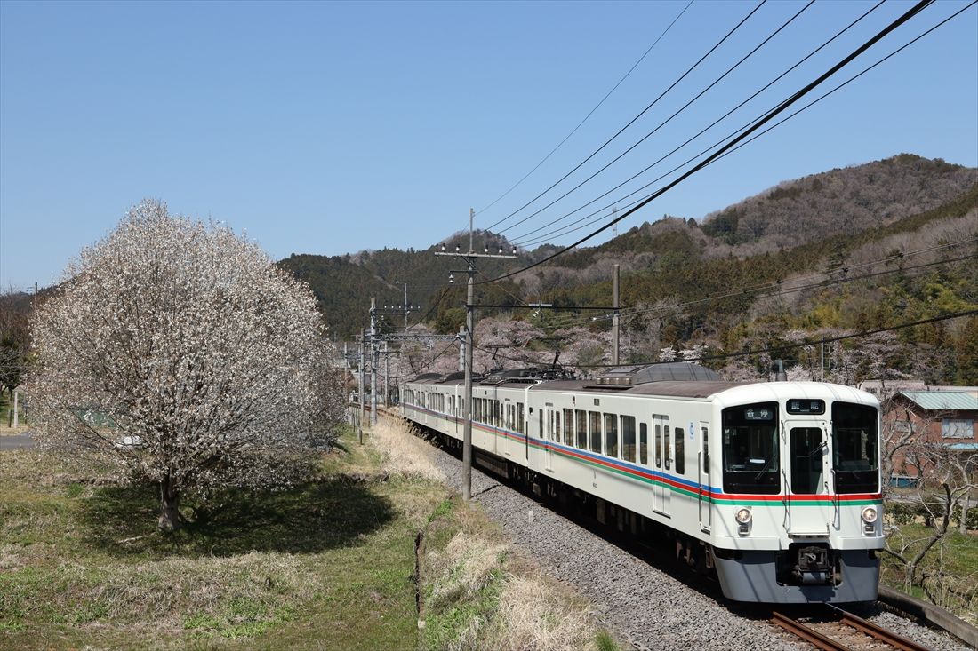 春の西武秩父線を走る4000系（撮影：南正時）