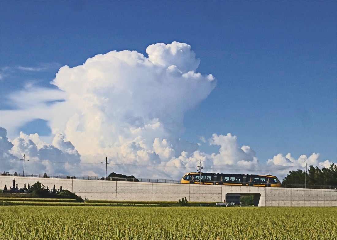 夏空の下を走るLRT（撮影：南正時）