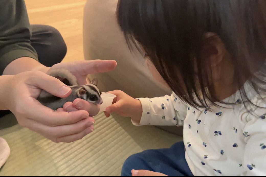 フクモモと優しく触れ合う3歳の娘さん。教えたわけではないのに、自然と動物との触れ合い方を学んでくれた（写真提供：ひろさん）