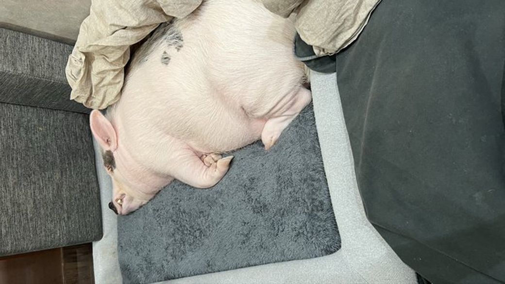 （写真提供：しおりさん）