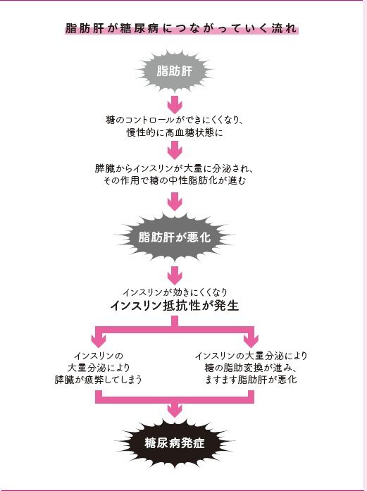 脂肪肝が糖尿病につながっていく流れ