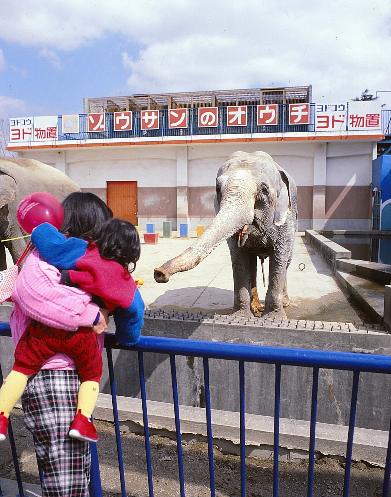 阪神パークのゾウ＝1988年（出典：にしのみやデジタルアーカイブ）