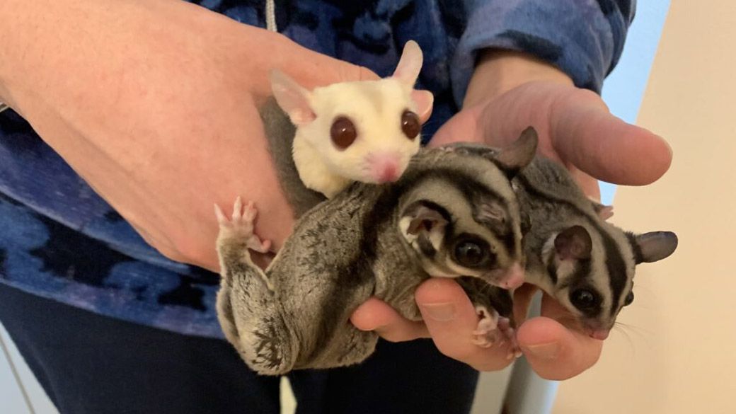 （写真：ひろさん提供）
