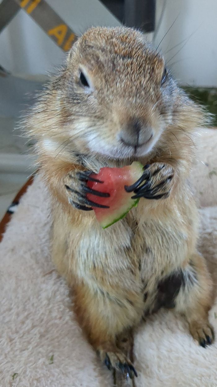 （写真：まる子さん提供）
