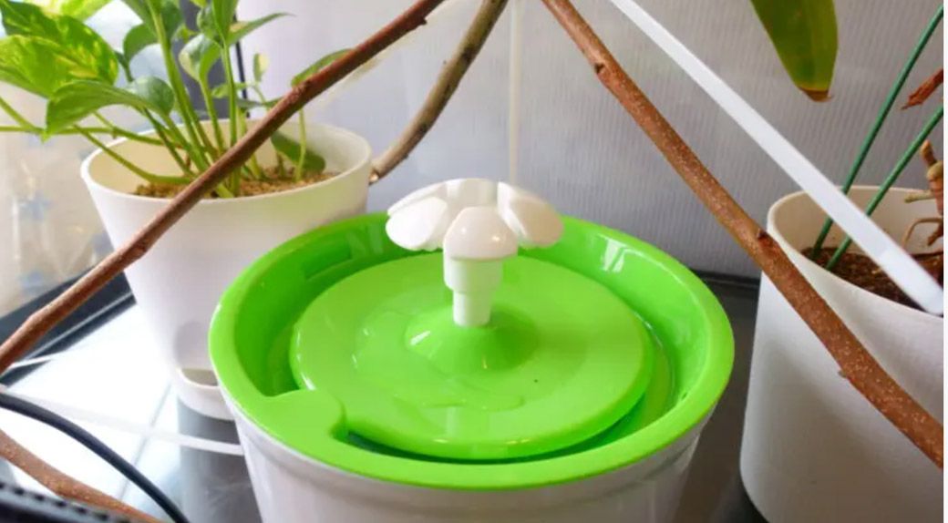 水を飲まない個体には、犬猫用の循環式自動給水器がおすすめ。（写真提供：山村さん）