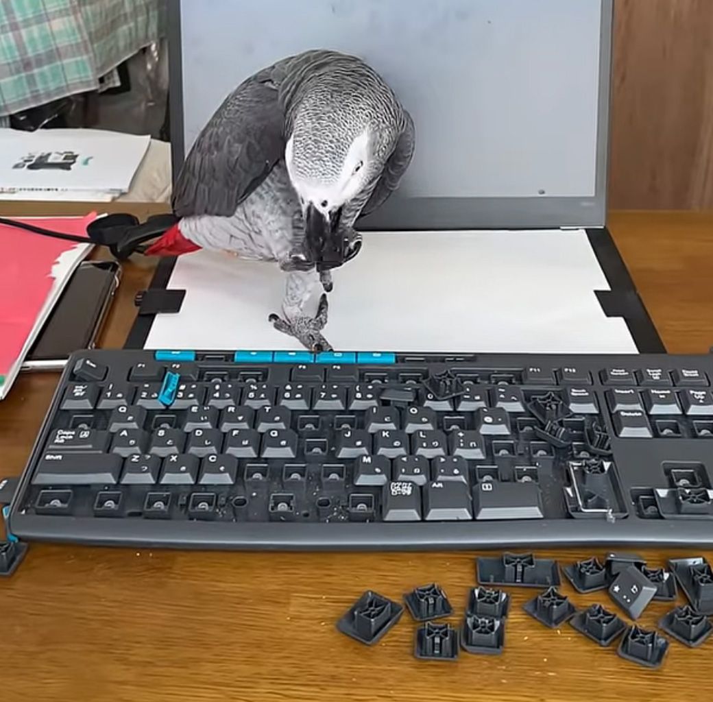 （写真提供：カマタさん）