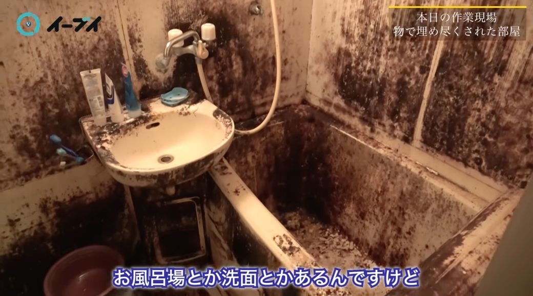 ゴミ屋敷