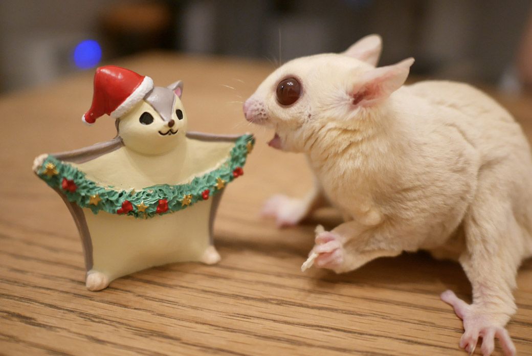 （写真：ひろさん提供）