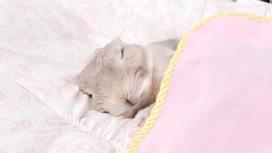 （写真：やすさん提供）