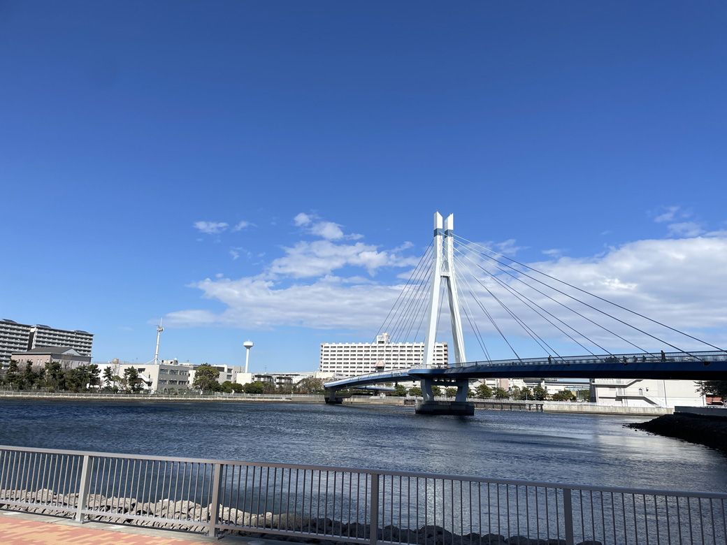 辰巳地区と東雲地区をつなぐ辰巳桜橋（筆者撮影）