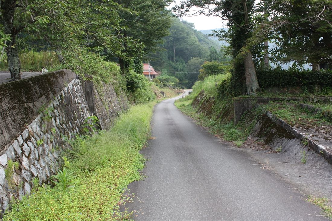 （旧線）有福―宇津井郷間：橋脚群の先にある集落（浜田市宇津井町地区）に残る線路敷（筆者撮影）