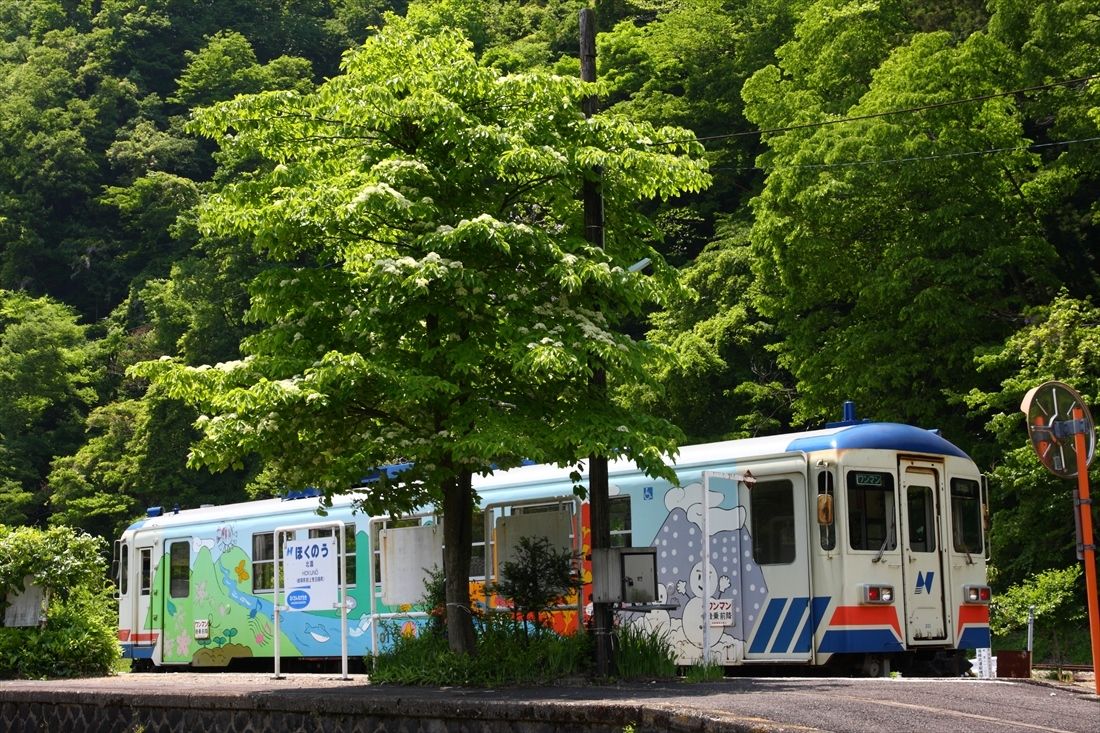 長良川鉄道の終点、北濃駅に停車する列車（撮影：南正時）