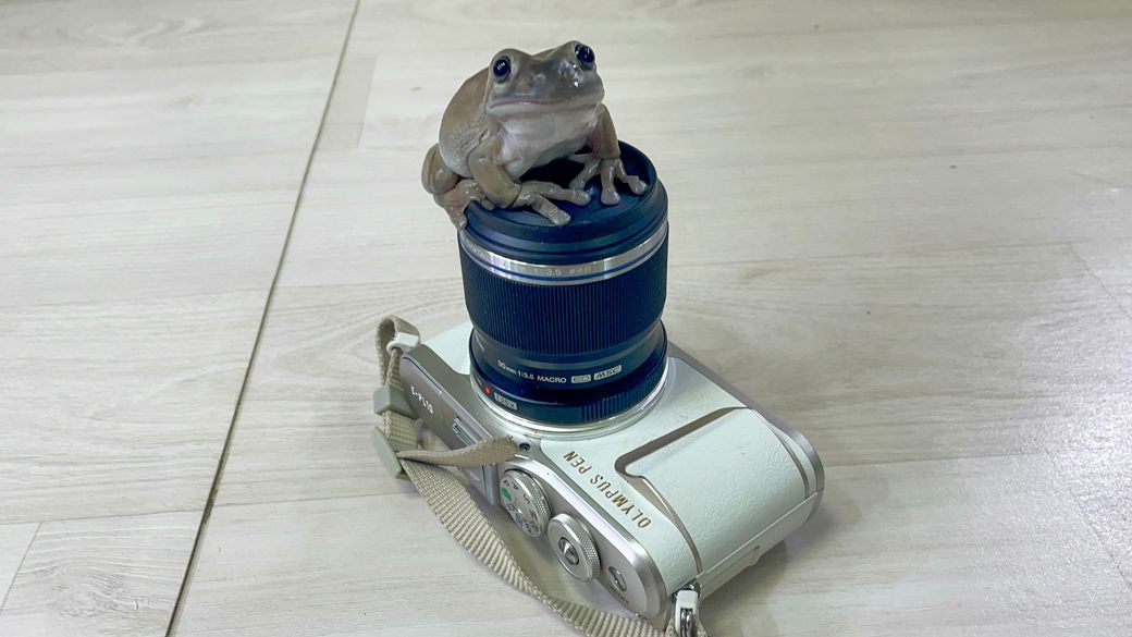 （写真提供：ぴよさん）