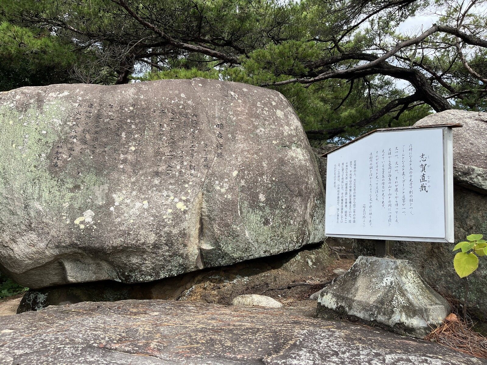 尾道