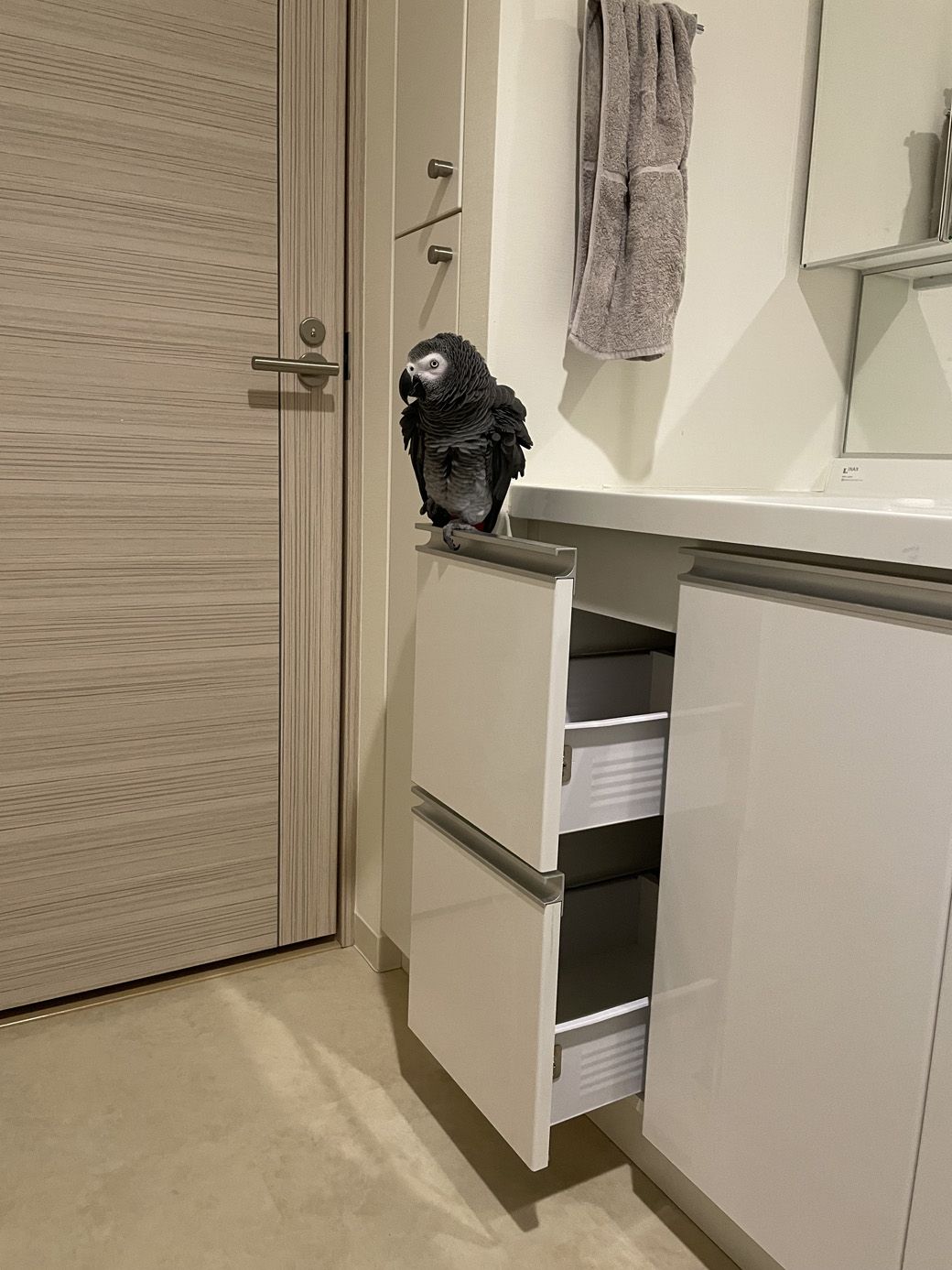 （写真提供：カマタさん）