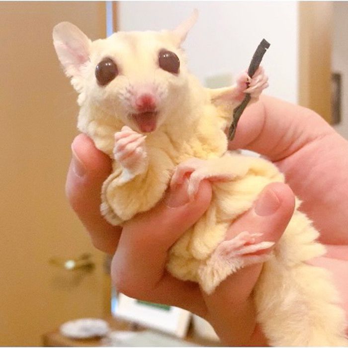 （写真：ひろさん提供）