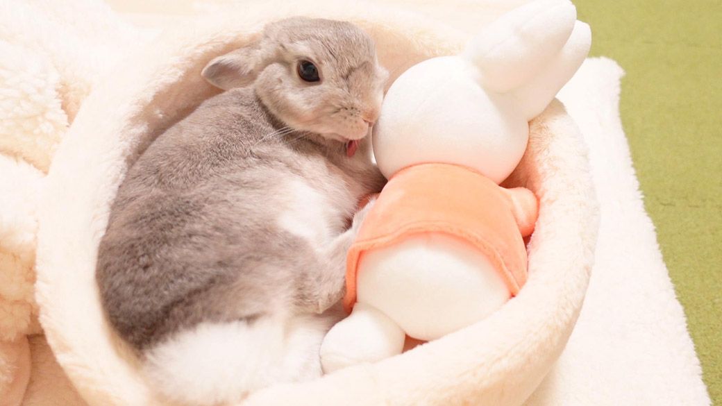 （写真：やすさん提供）