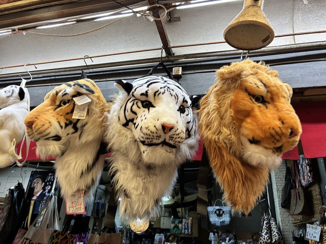 勇敢なトラやヒョウの顔のリュック。街で注目を集めること間違いなし（筆者撮影）