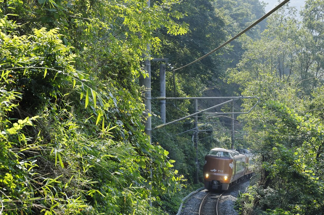 集中伐採付近を走る273系「やくも」。2024年にデビューしたJR西日本最新鋭の特急車両。向かって左側奥が今回の現場で急峻な斜面のもとをくぐりぬけるように走る（筆者撮影）　