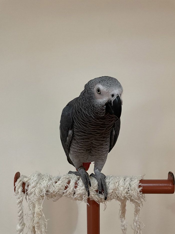 （写真提供：カマタさん）