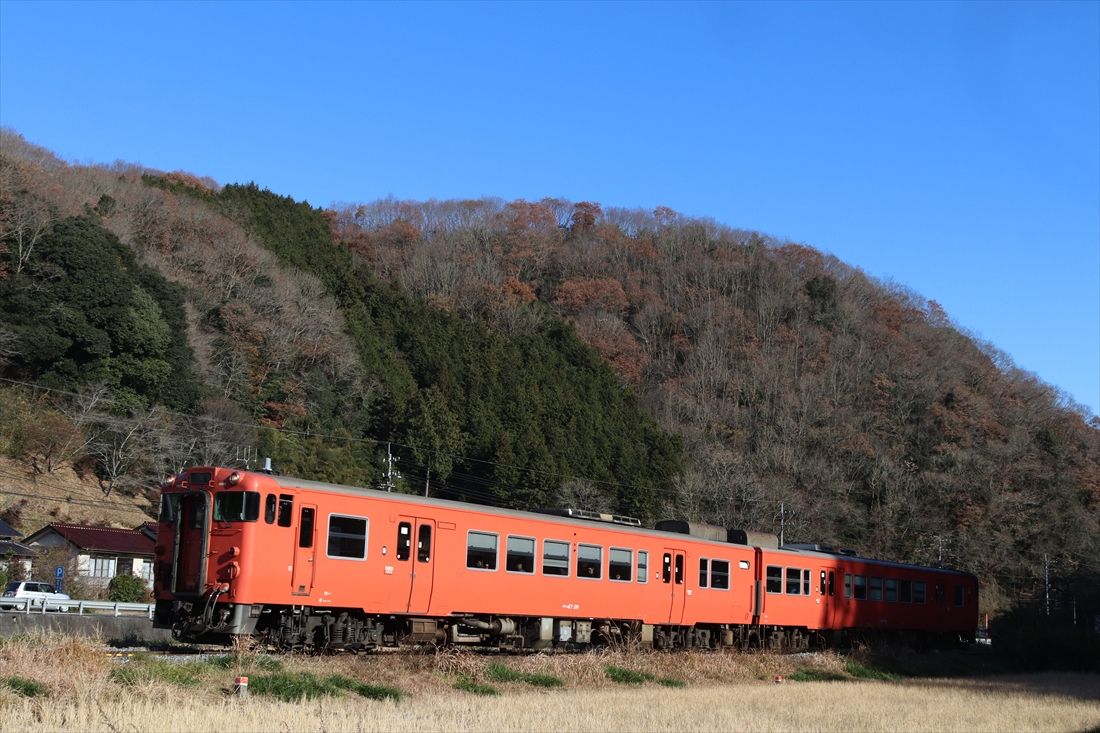 津山線を走るタラコ色のキハ47形（撮影：南正時）