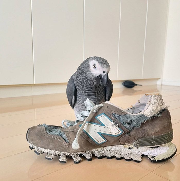 （写真提供：カマタさん）