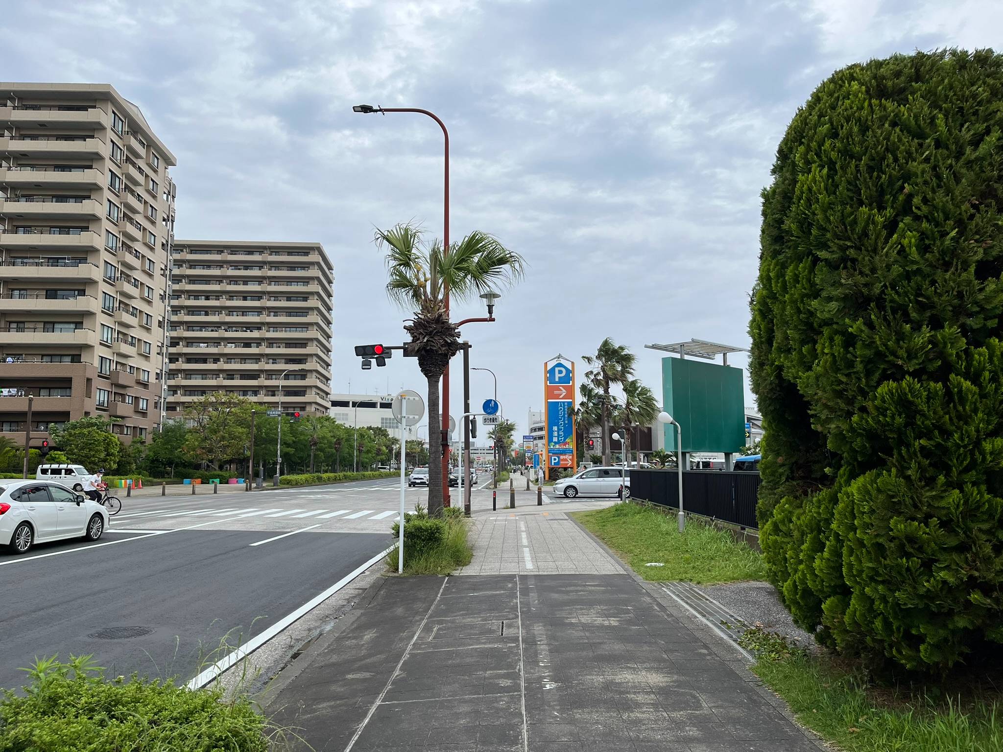 「よこすか海岸通り」の様子（筆者撮影）