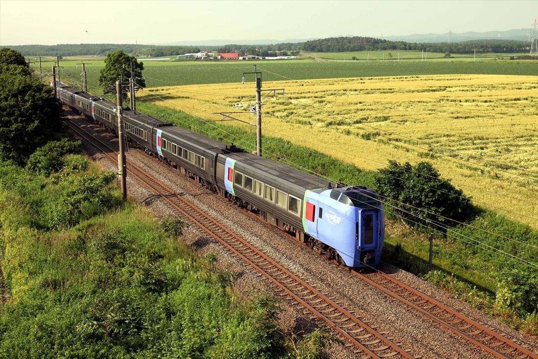 千歳線を走る「スーパー北斗」（撮影：南正時）