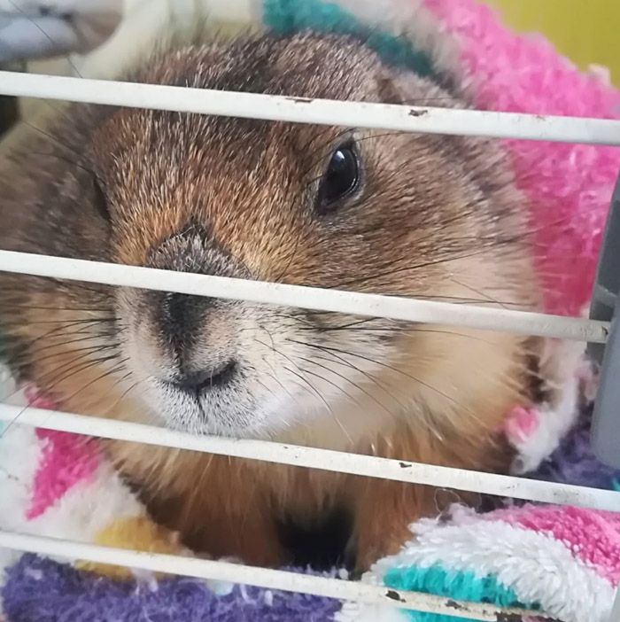 （写真提供：まる子さん）