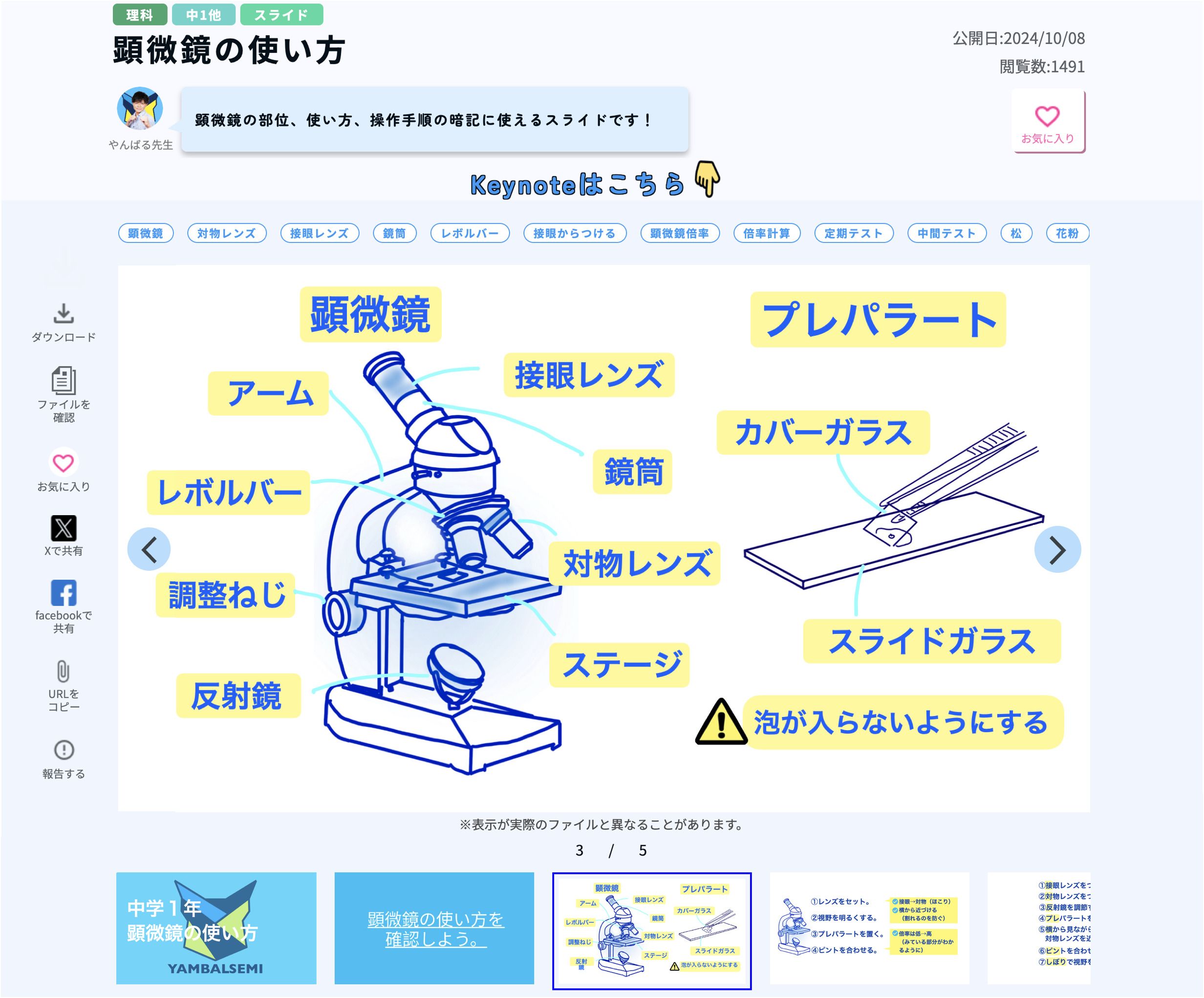 せんせい市場