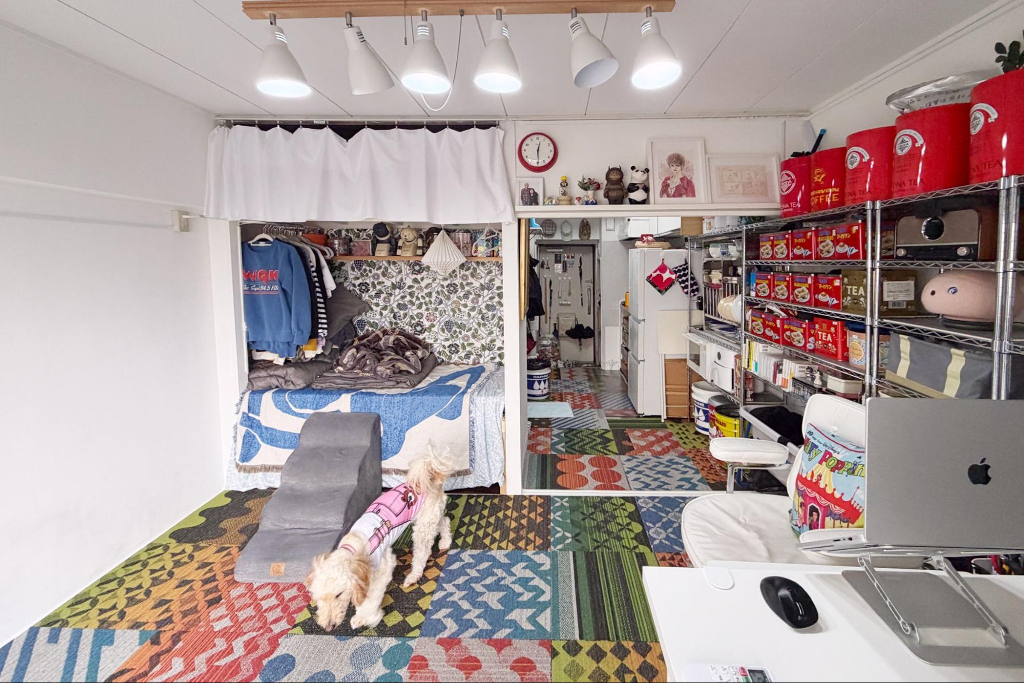 築50年、25㎡・6畳1Kで、夫婦2人と中型犬で暮らしています（筆者撮影）