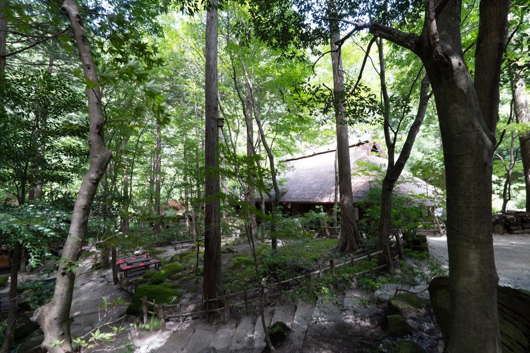移築した母屋の茅葺き屋根はどっしりとした存在感がある。もともと朽ちて倒れていた古民家とは思えない（筆者撮影）