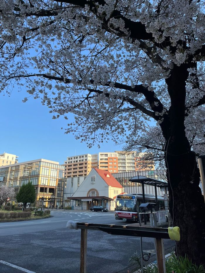『謎解きはディナーのあとで』の舞台地・東京国立。国立駅前には、「三角屋根」が特徴的な「旧国立駅舎」が建っています(筆者撮影)