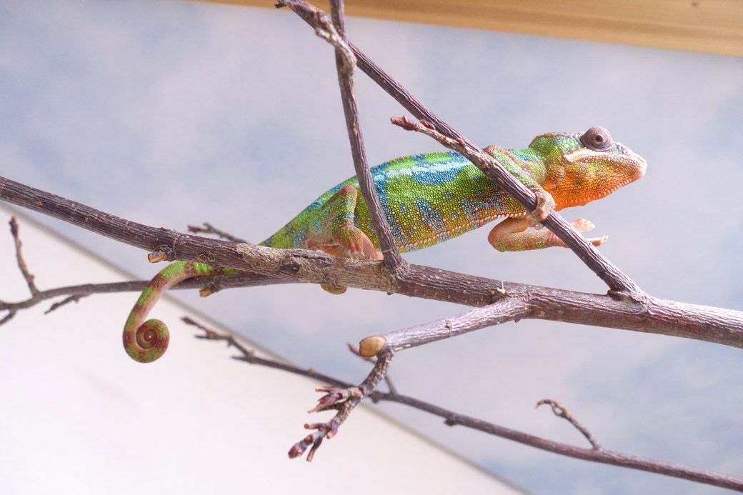 （写真：山村さん提供）