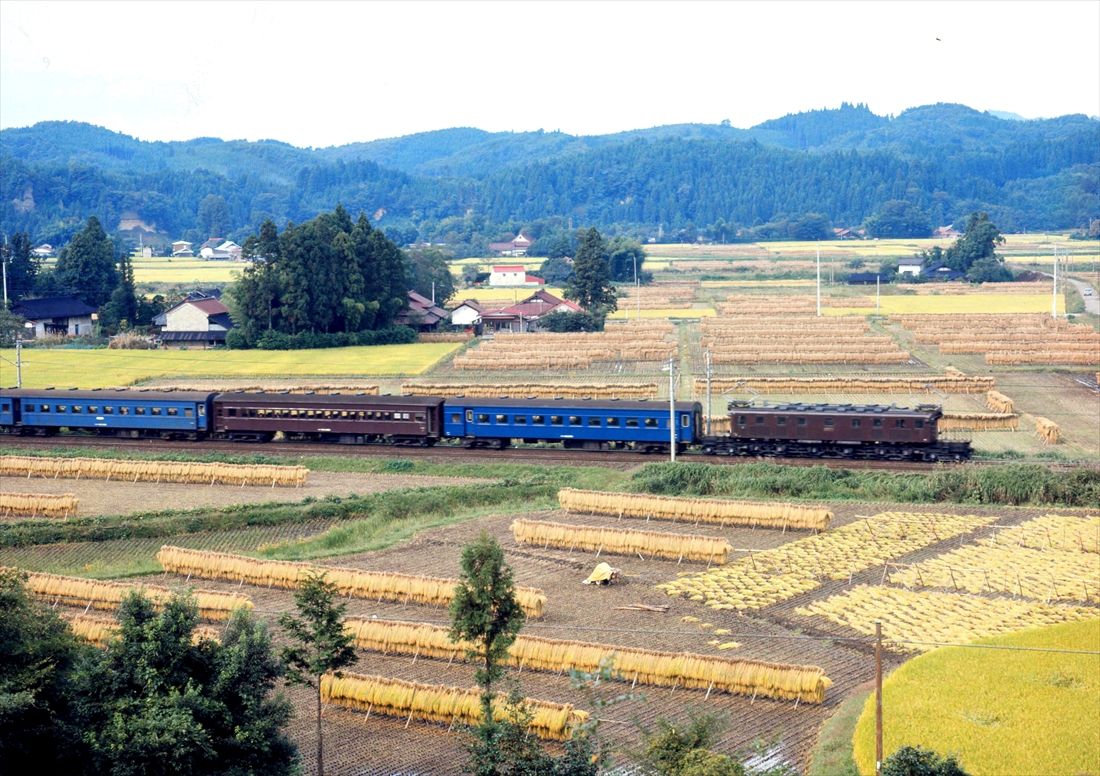 東北本線の矢板付近を走る、EF57形牽引の一ノ関行き123列車。長距離普通列車として知られた（撮影：南正時）