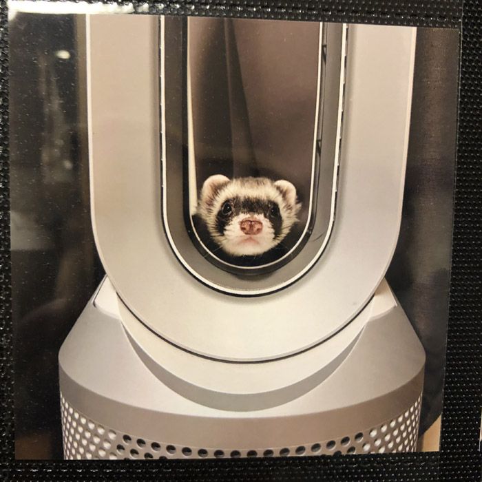 （写真提供：ミキさん）