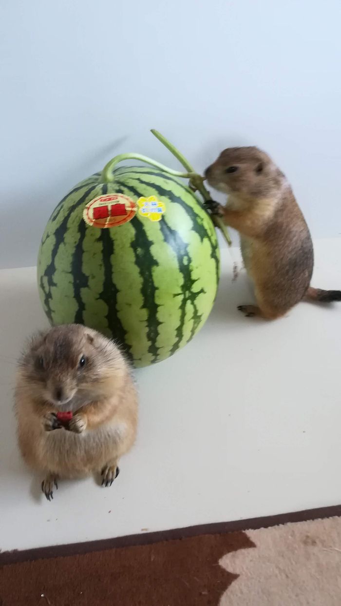 （写真：まる子さん提供）
