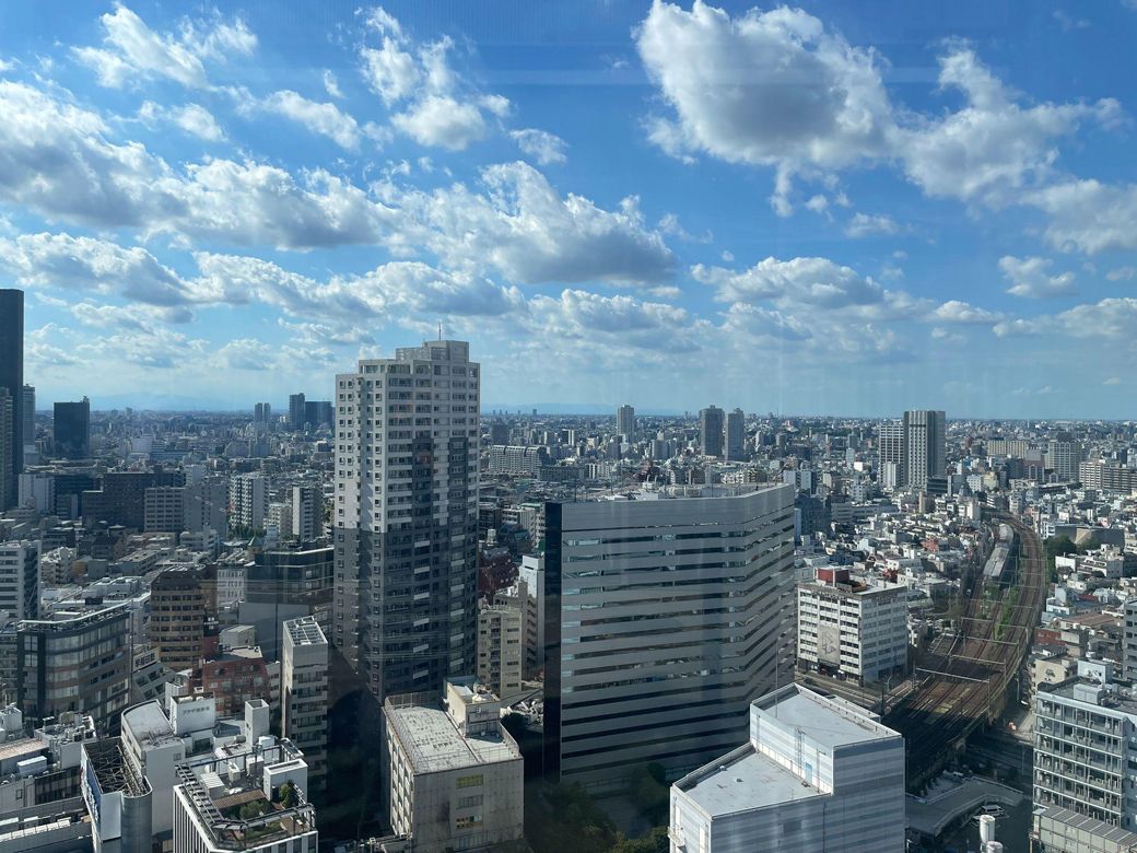 東京上空から見たとある風景。都会VS地方論争の行き着く先は……？（写真：筆者提供）