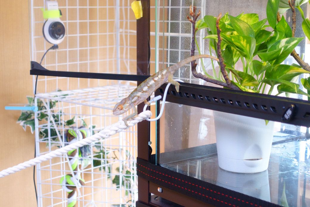 （写真：山村さん提供）