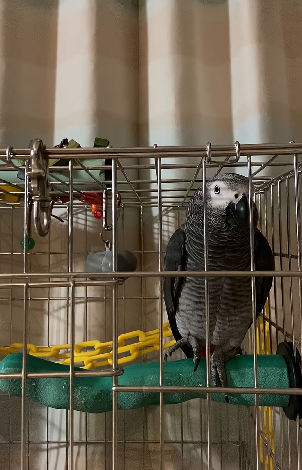 （写真提供：カマタさん）