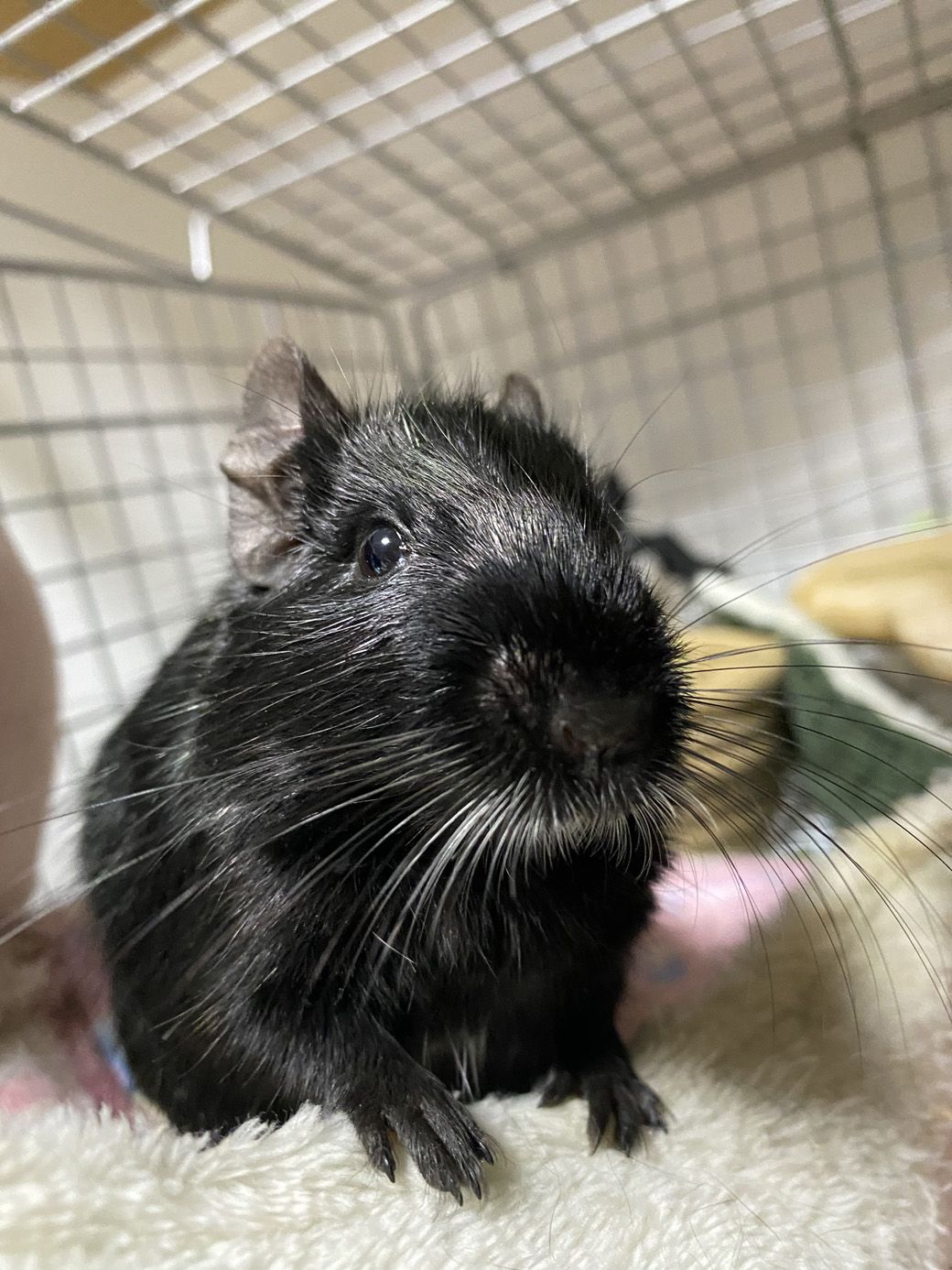 （写真：みきさん）